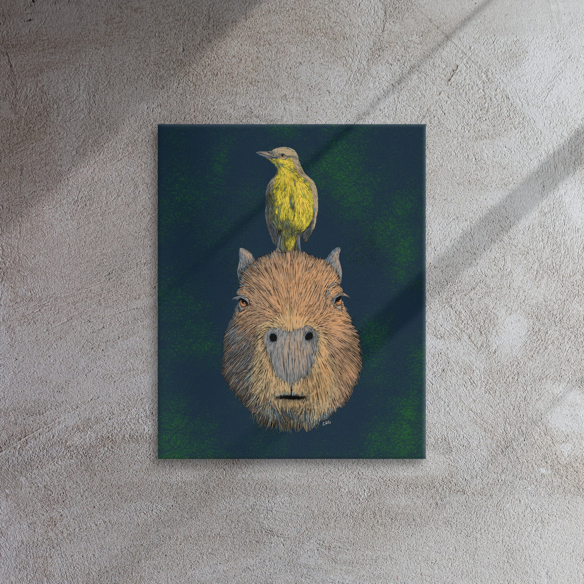 Capybara and Cattle Tyrant, 2024