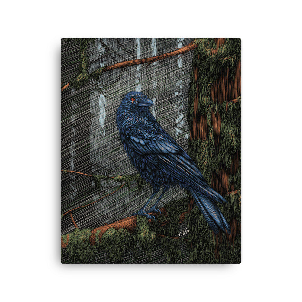 Mysterious Raven, 2023