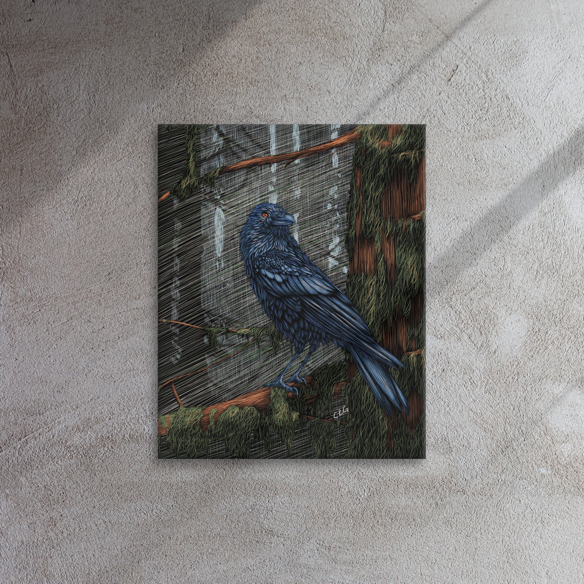 Mysterious Raven, 2023