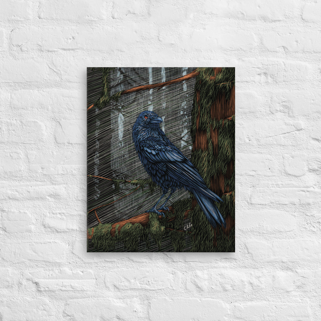 Mysterious Raven, 2023