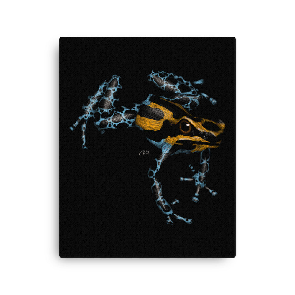 Poison Dart Frog, 2020