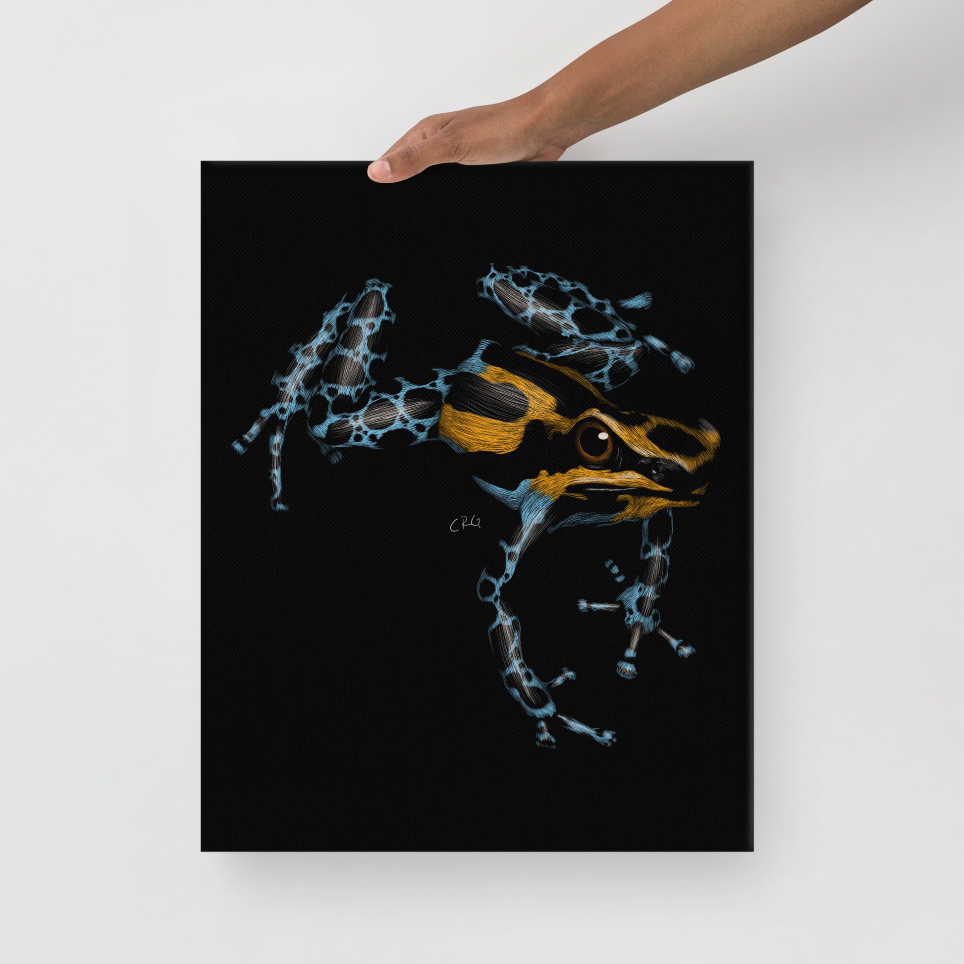 Poison Dart Frog, 2020