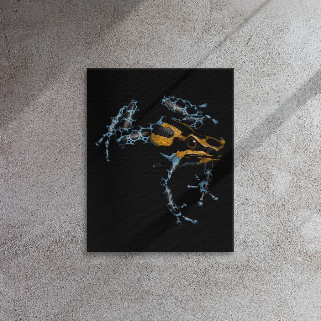 Poison Dart Frog, 2020