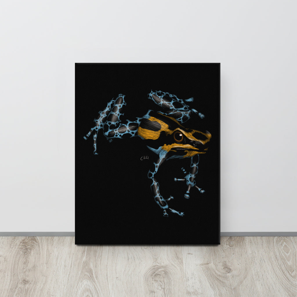 Poison Dart Frog, 2020