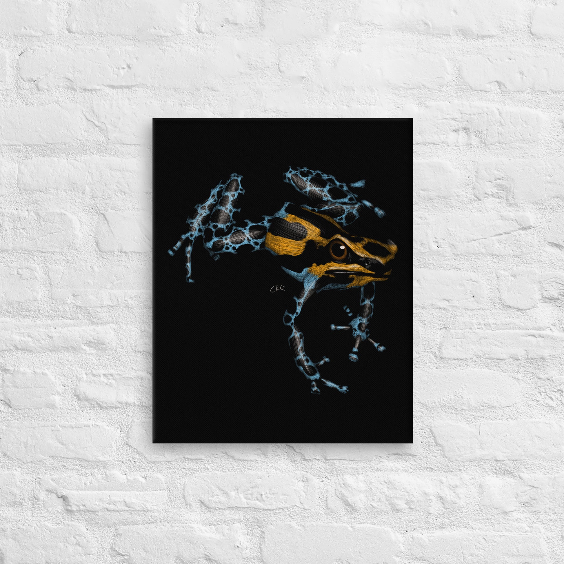 Poison Dart Frog, 2020