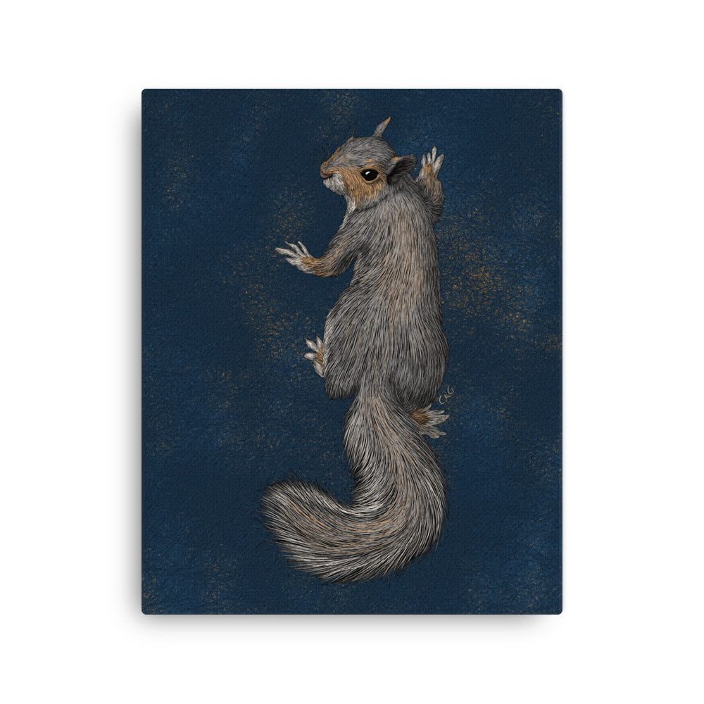 Climbing Squirrel, 2020