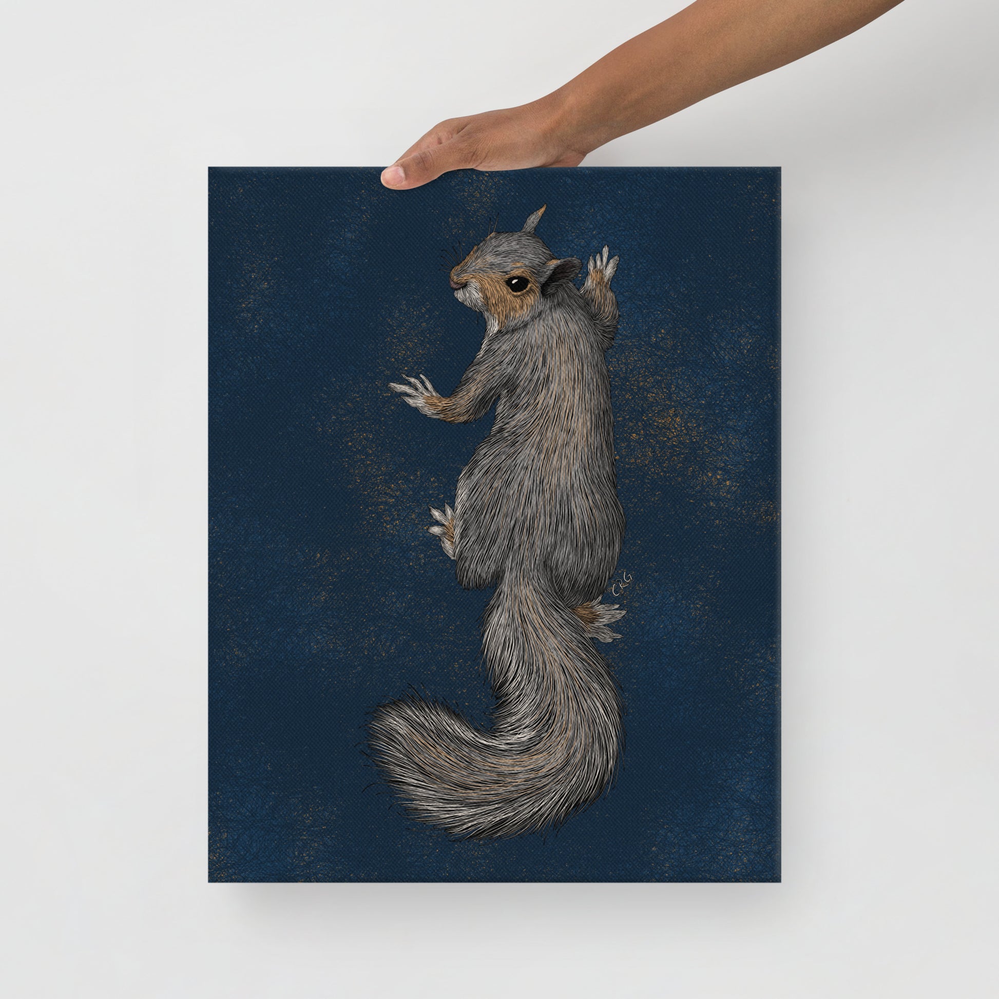 Climbing Squirrel, 2020