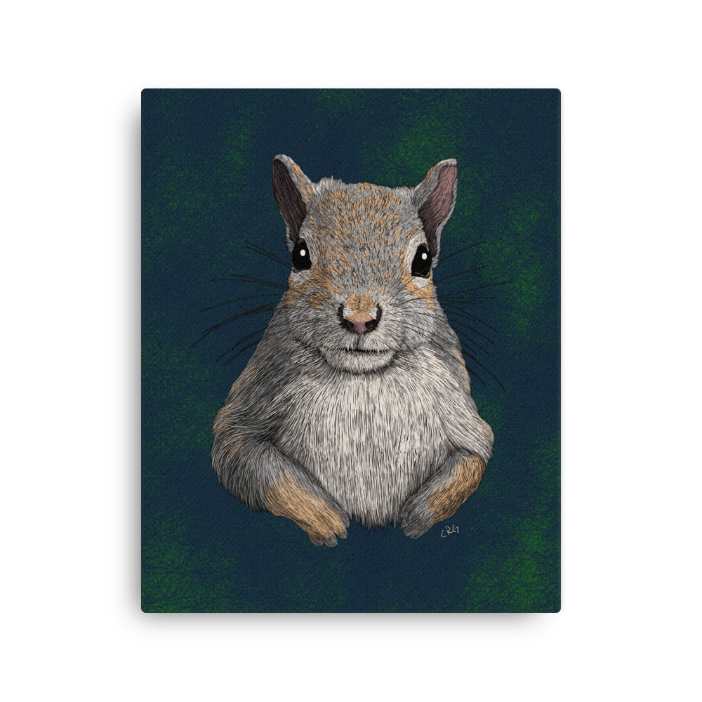 Squirrel, 2019