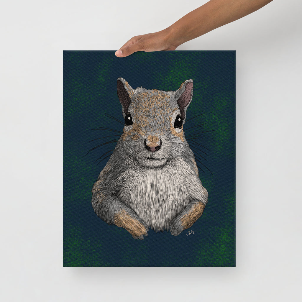 Squirrel, 2019