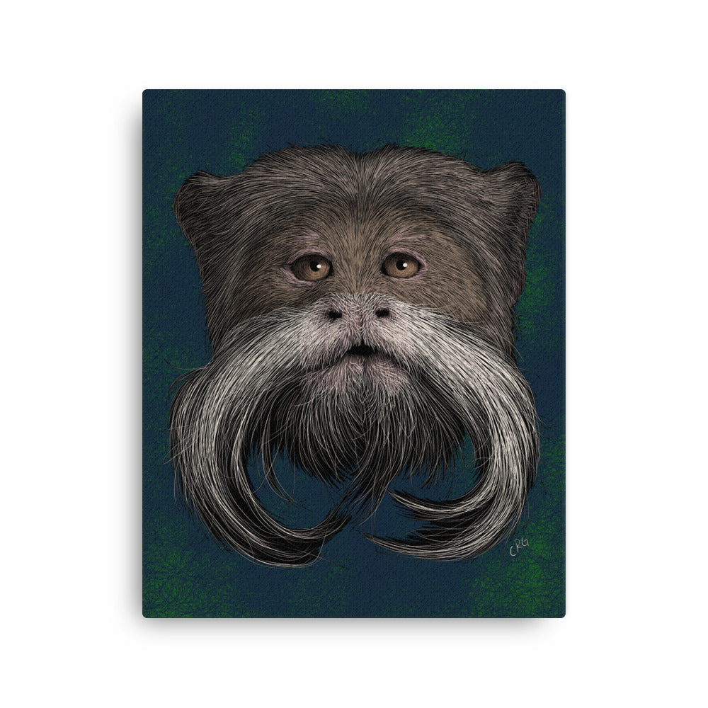 Emperor Tamarin, 2020