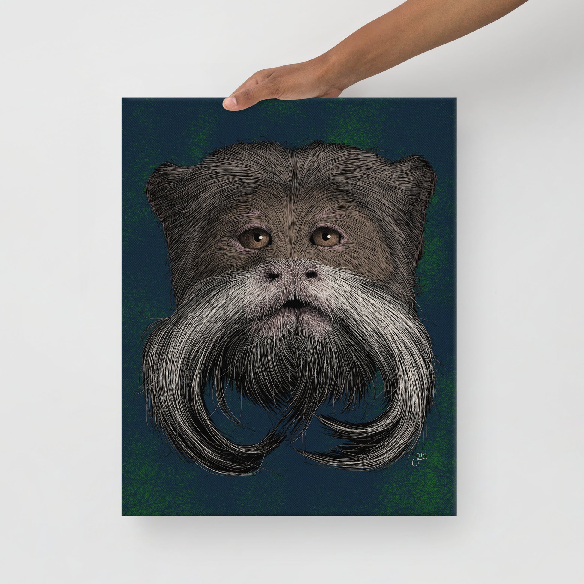 Emperor Tamarin, 2020