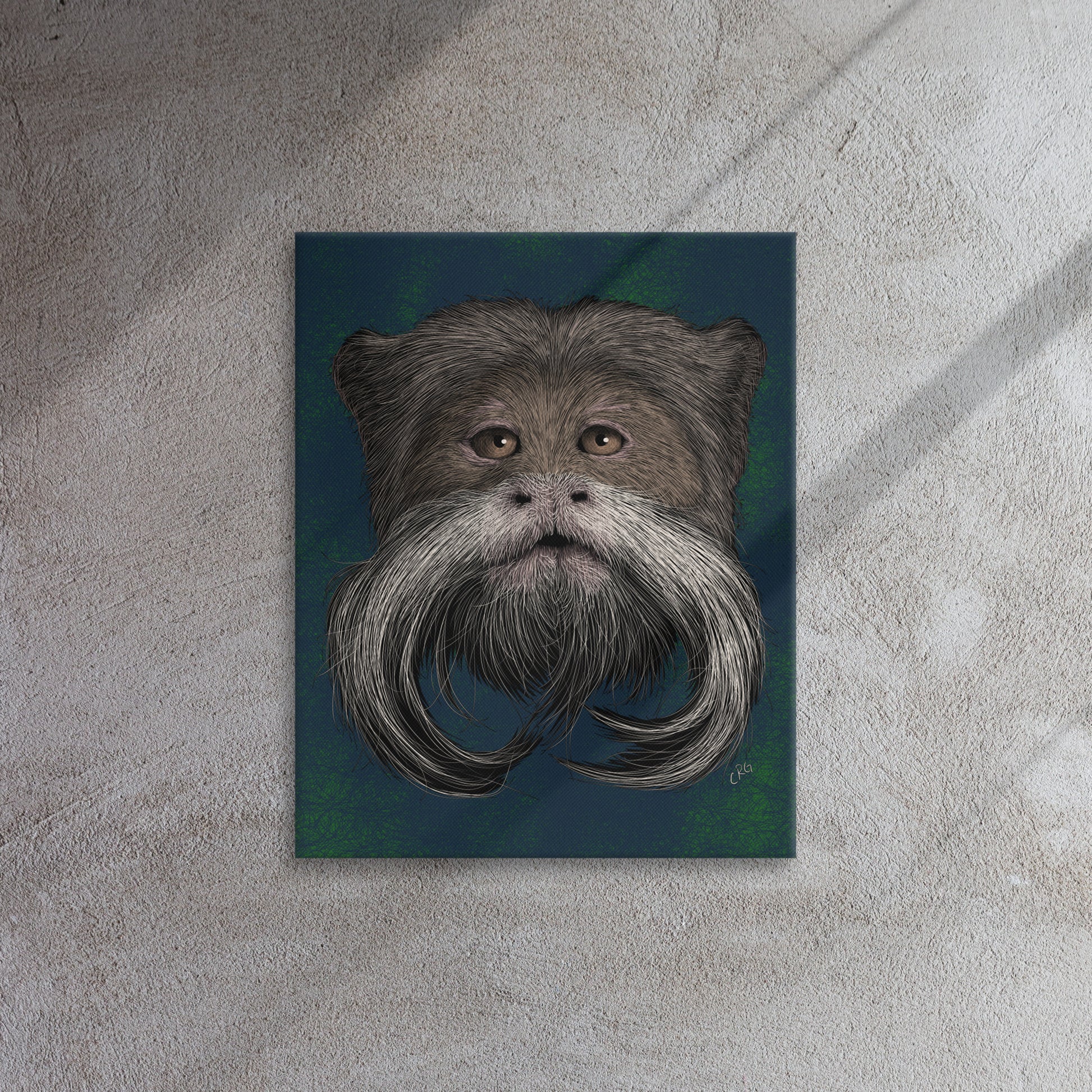 Emperor Tamarin, 2020