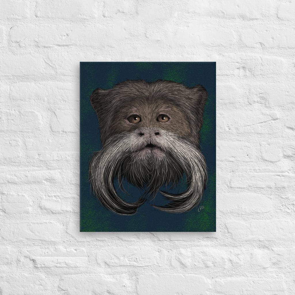 Emperor Tamarin, 2020