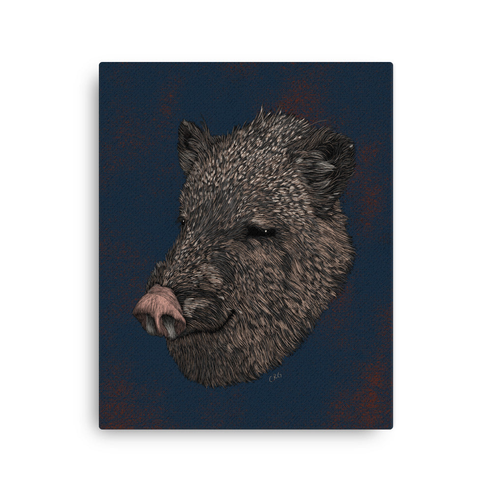 Javelina, 2020