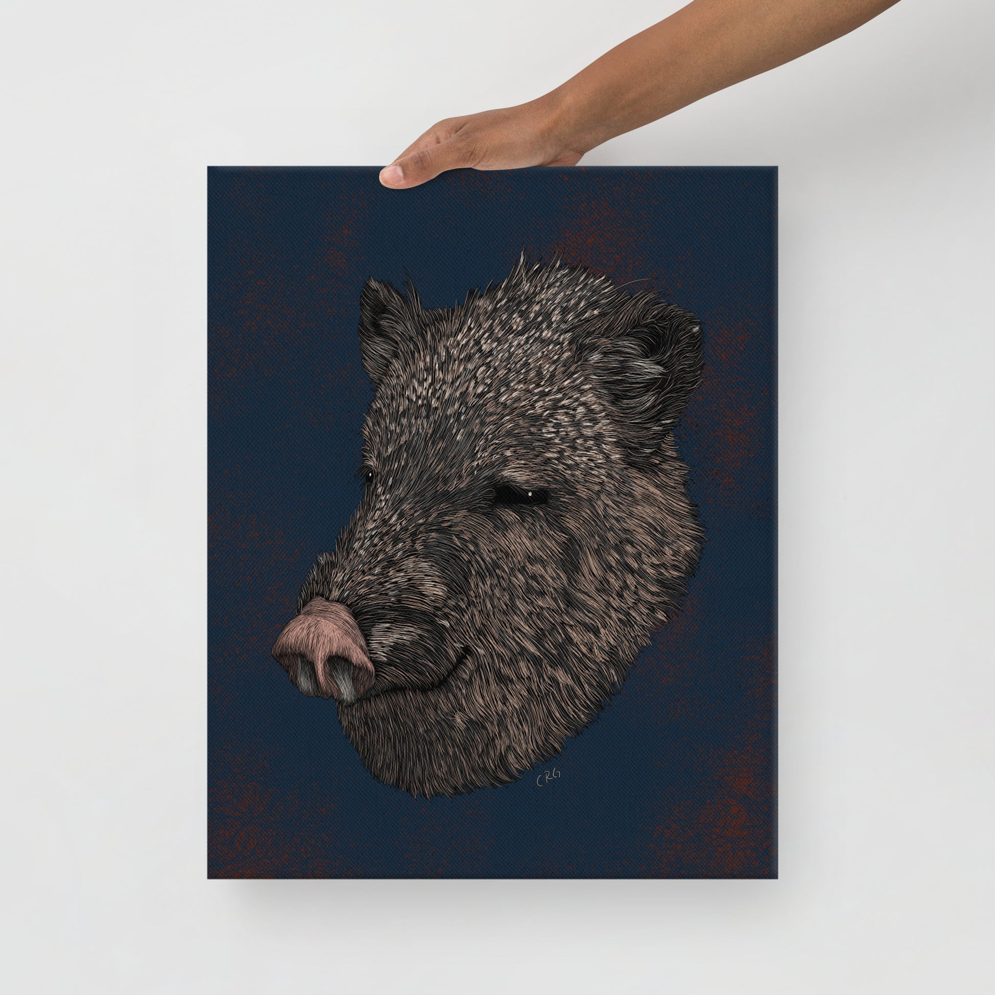 Javelina, 2020