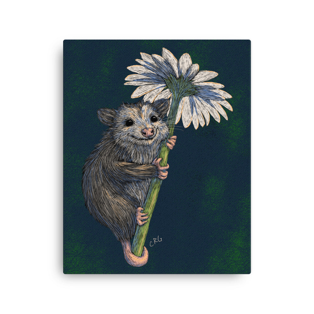 Opossum Hugging Daisy, 2024