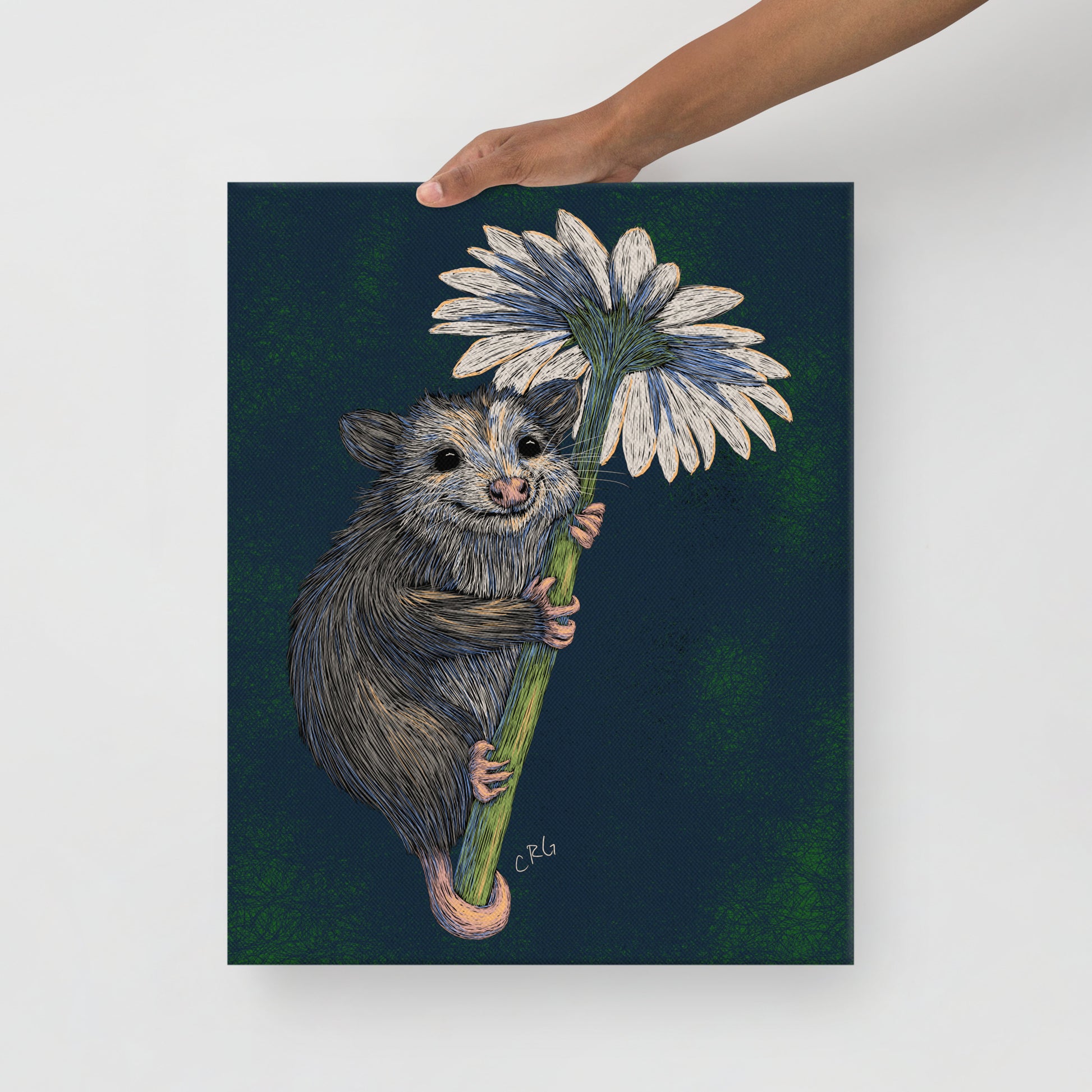 Opossum Hugging Daisy, 2024