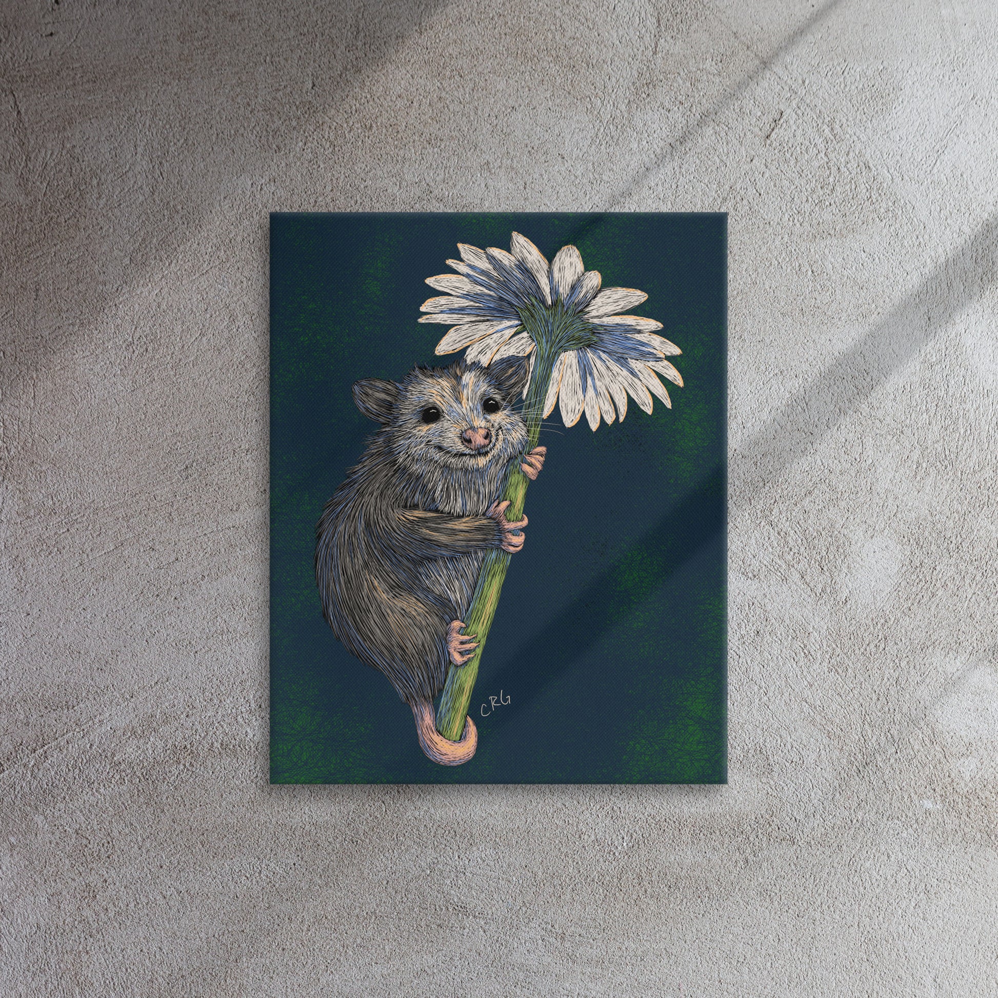 Opossum Hugging Daisy, 2024