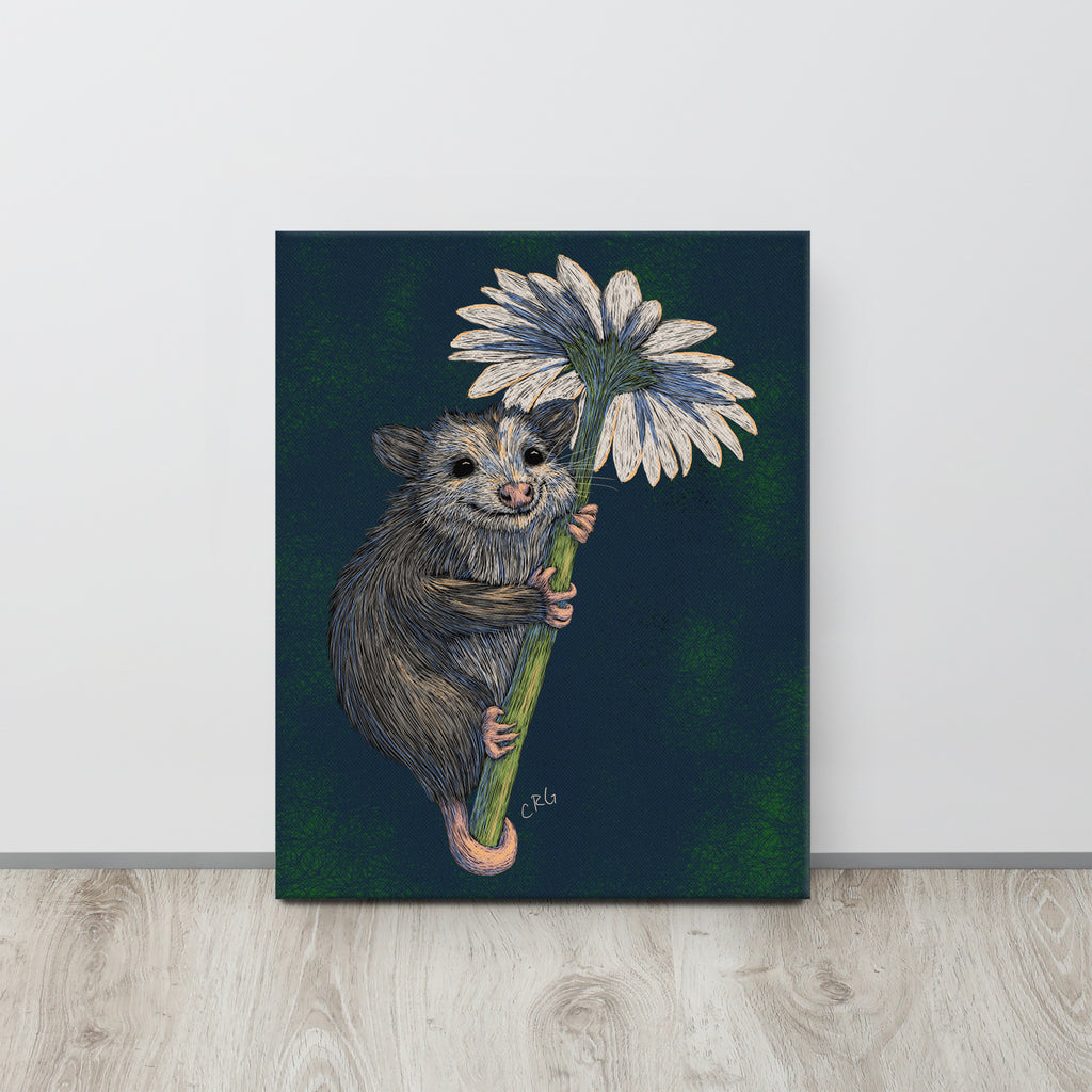Opossum Hugging Daisy, 2024