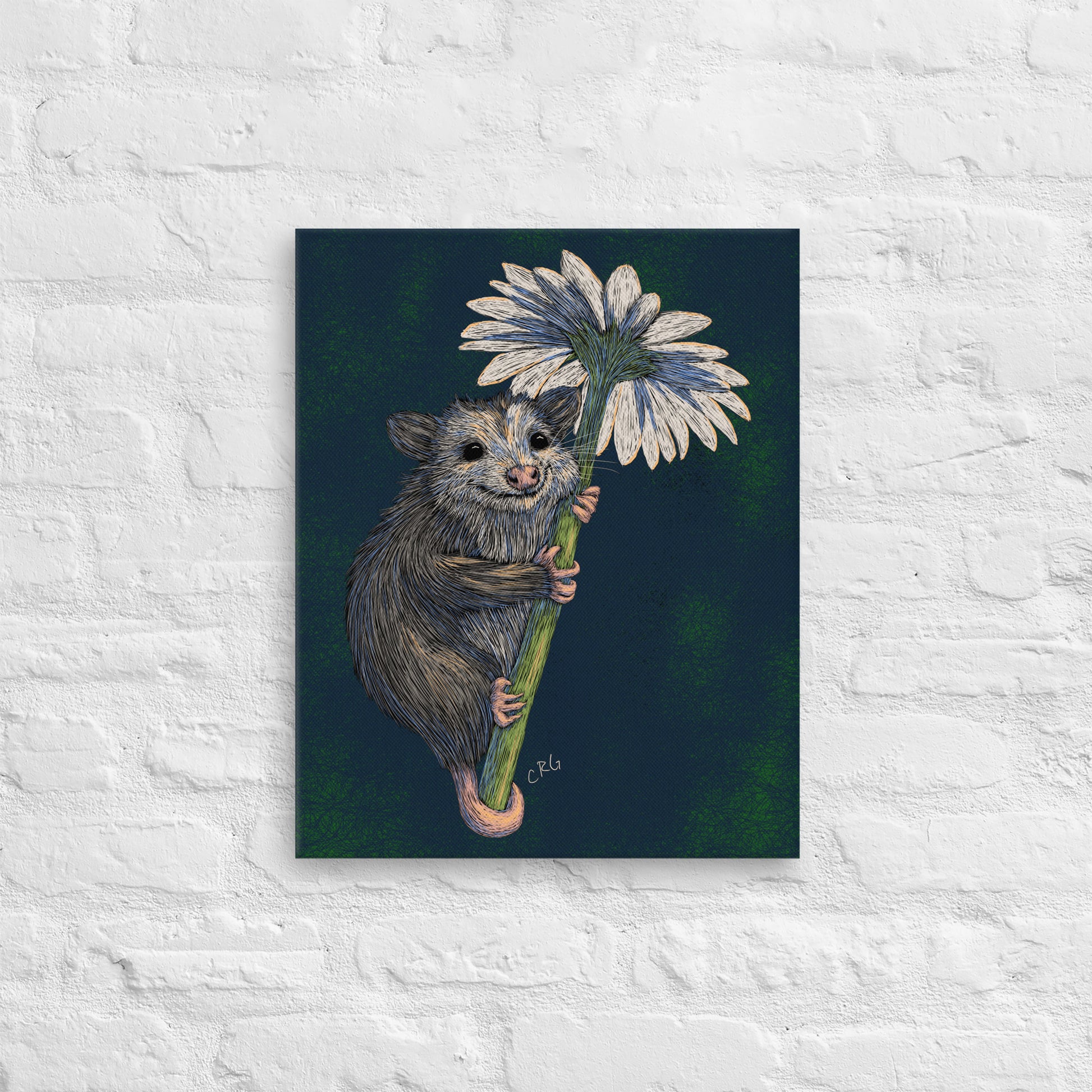 Opossum Hugging Daisy, 2024