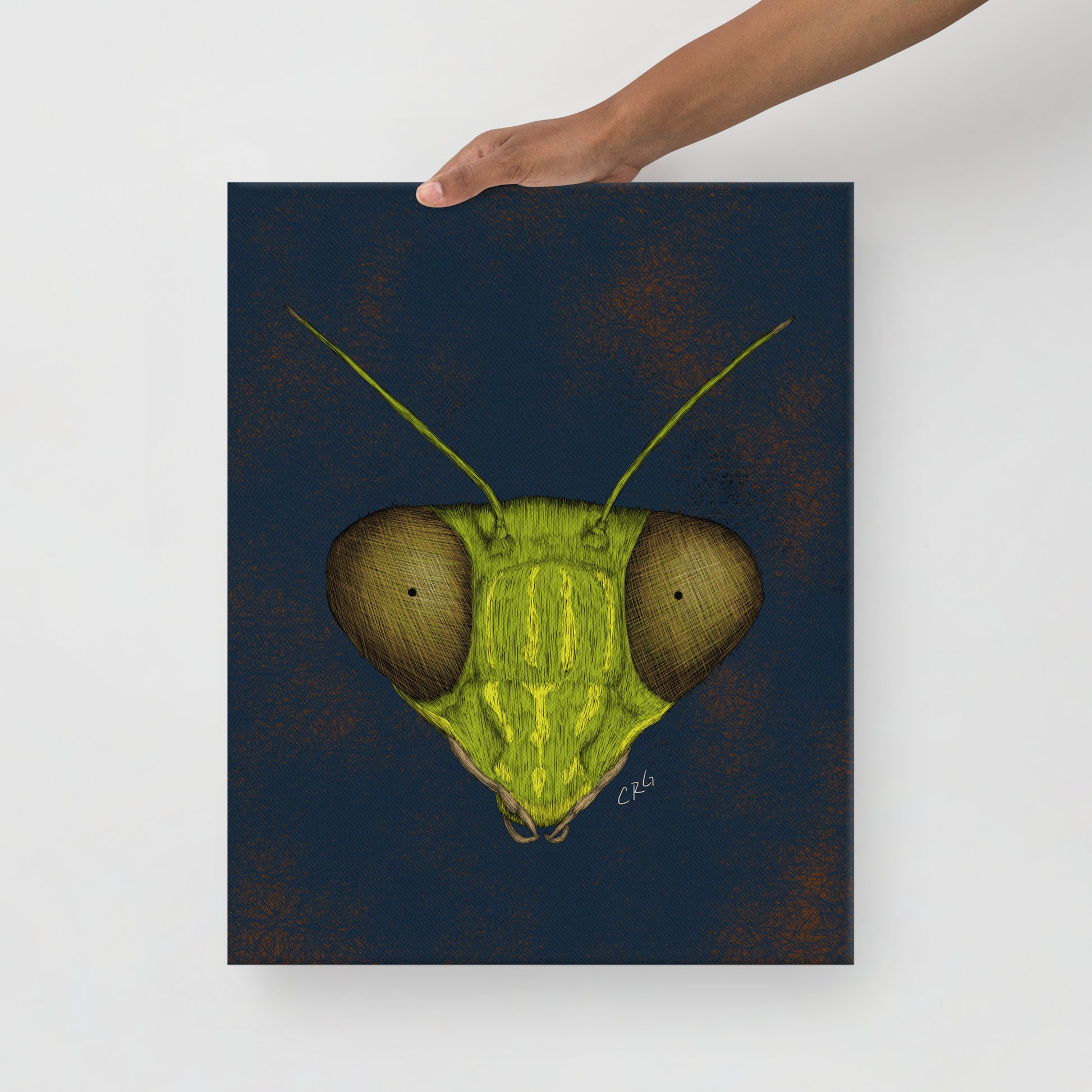 Praying Mantis, 2022