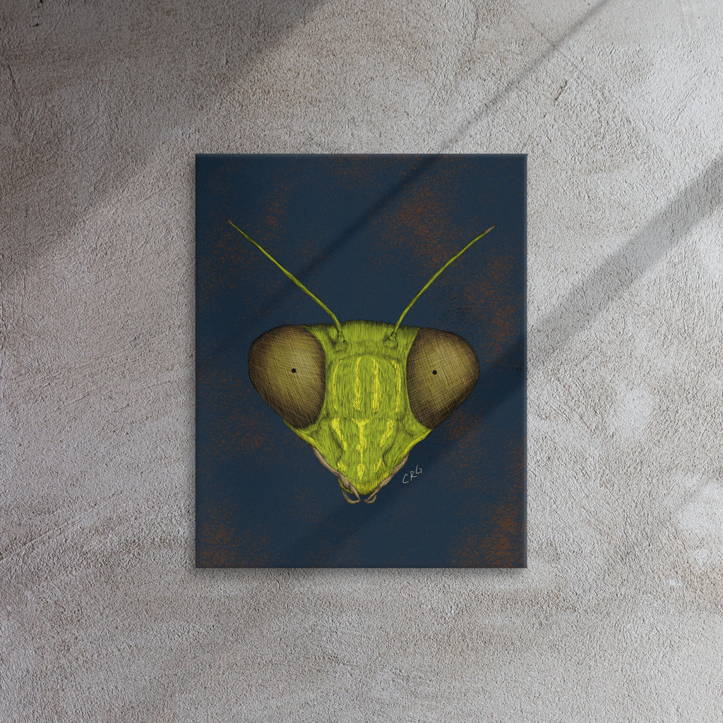 Praying Mantis, 2022