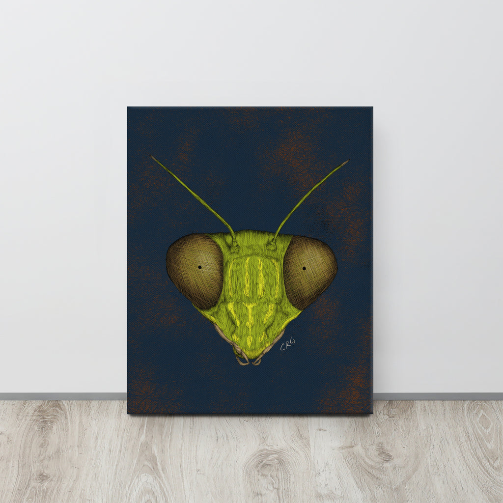 Praying Mantis, 2022