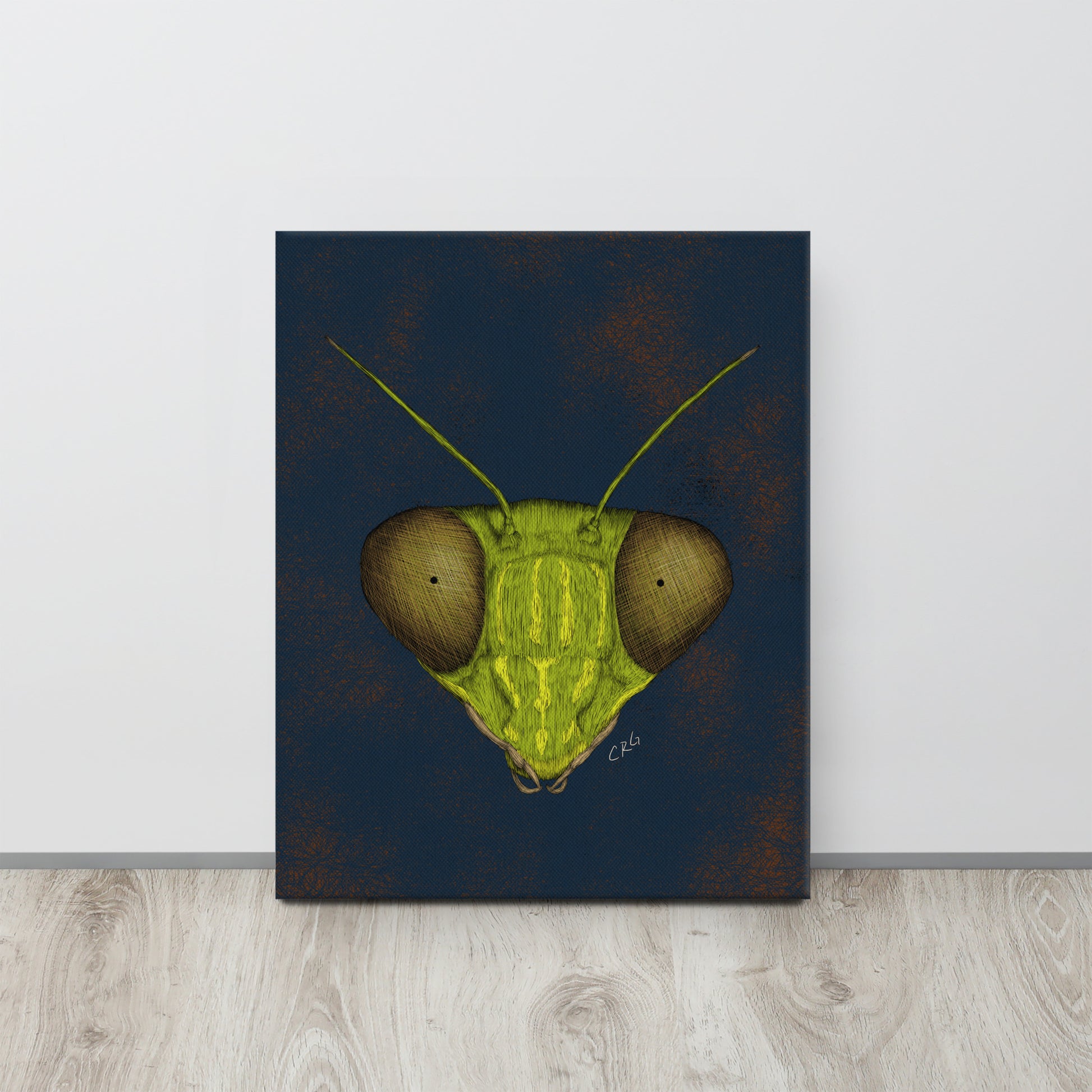 Praying Mantis, 2022