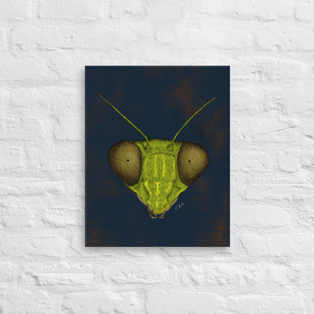 Praying Mantis, 2022