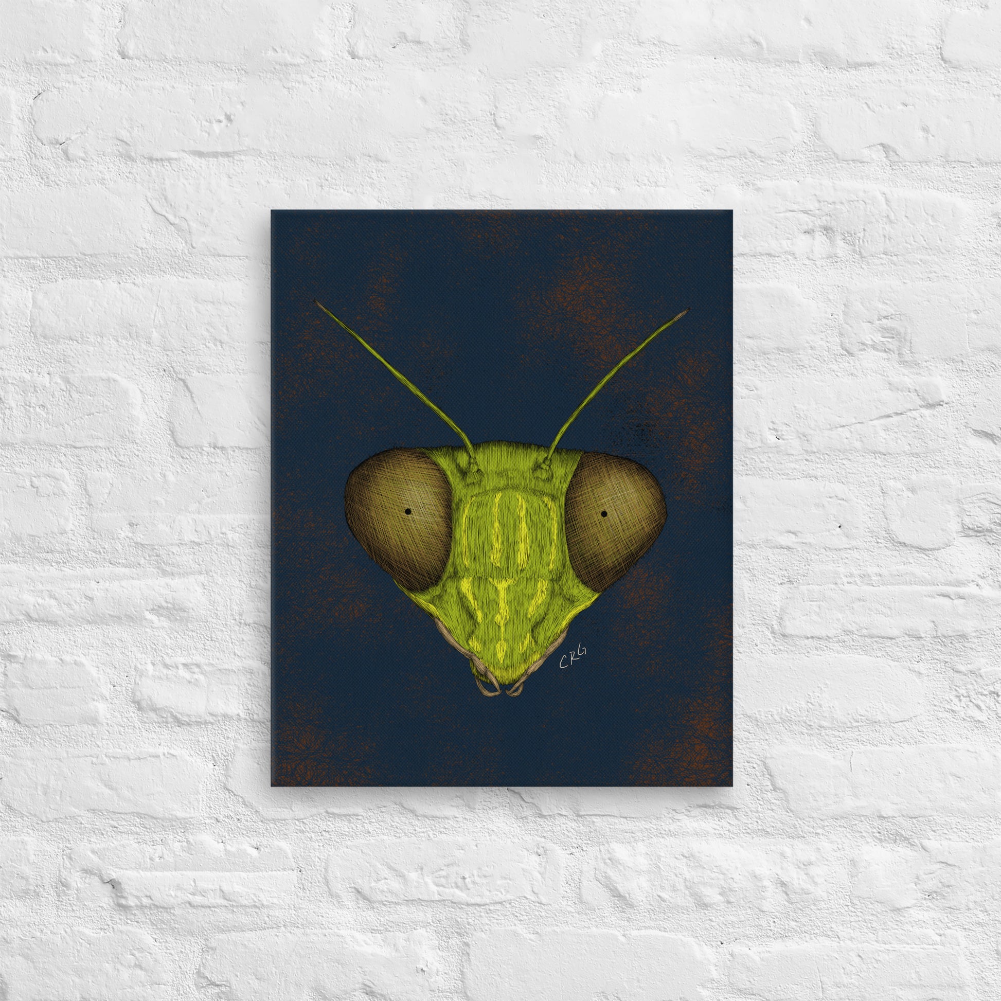 Praying Mantis, 2022