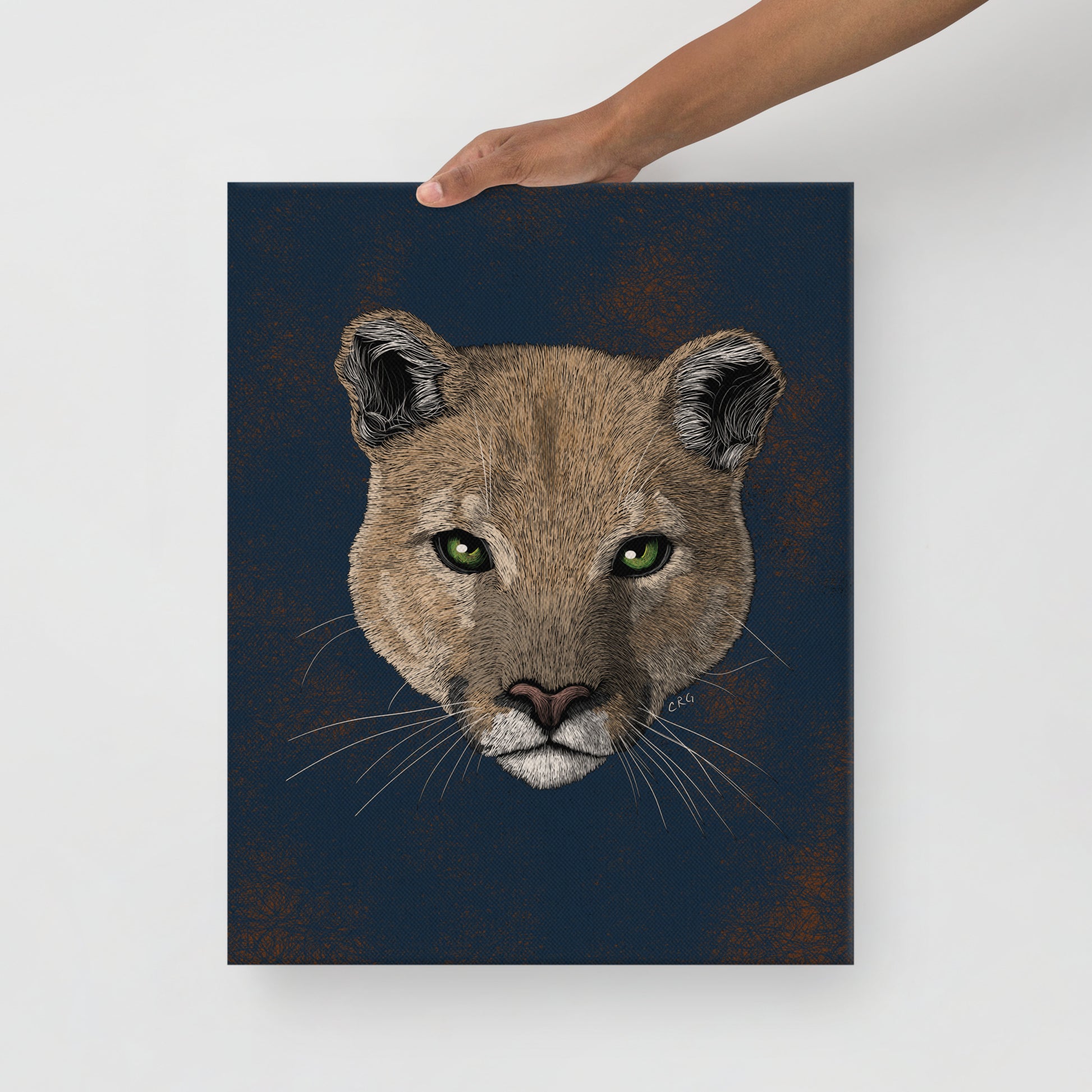 Mountain Lion, 2019
