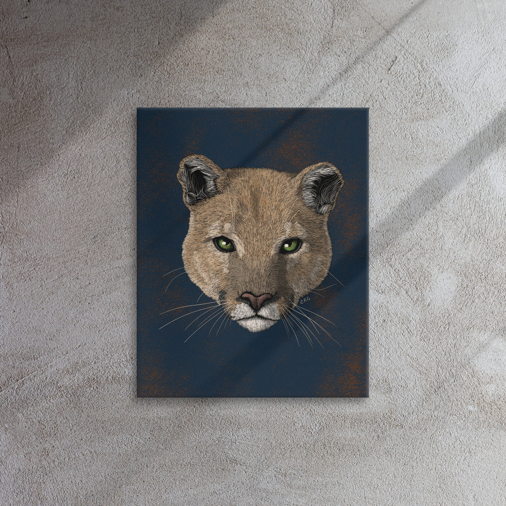 Mountain Lion, 2019