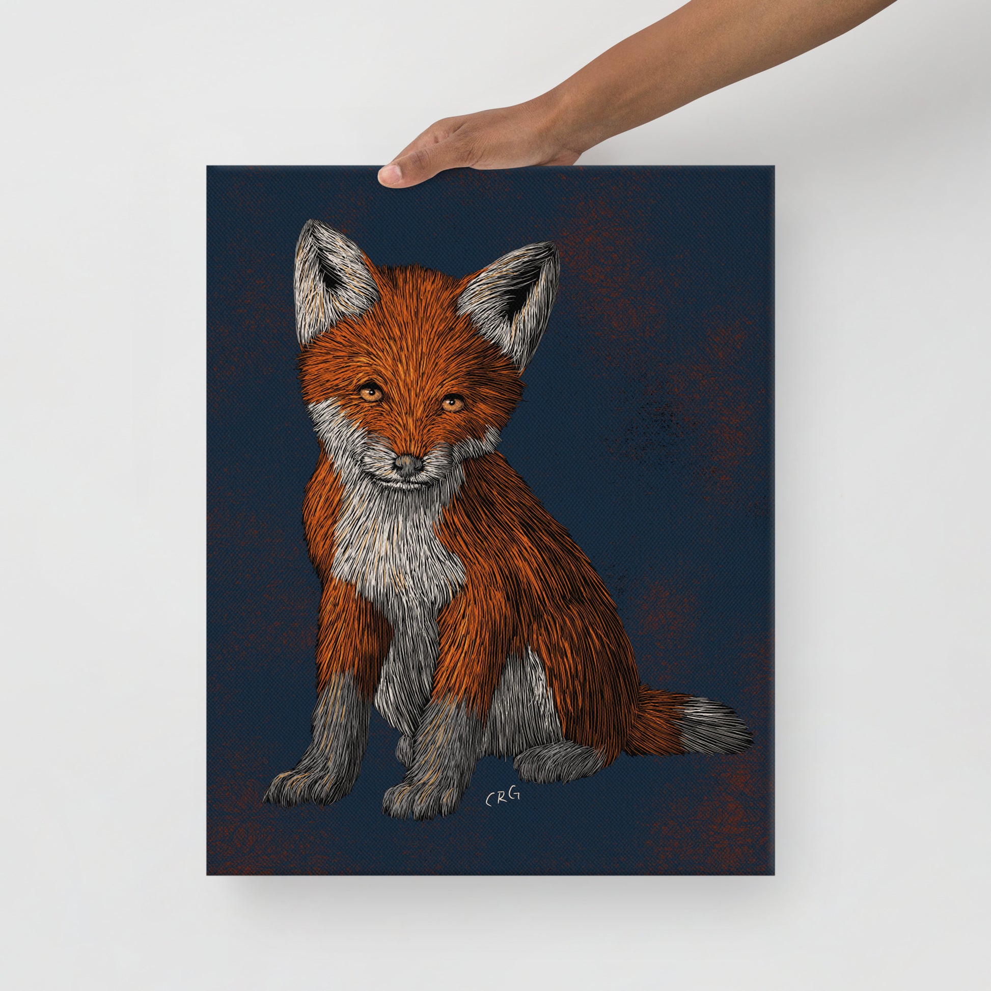Red Fox Kit, 2022