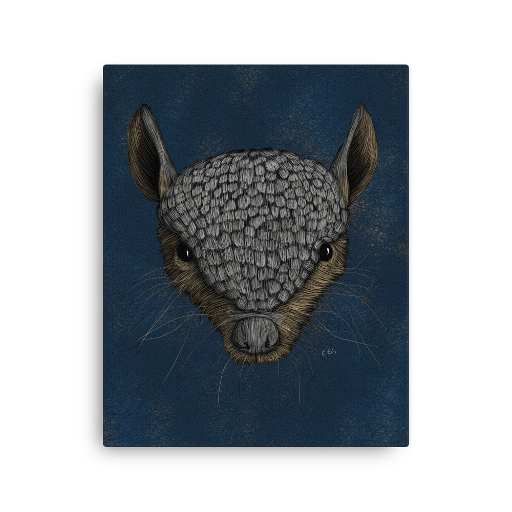 Screaming Hairy Armadillo, 2023