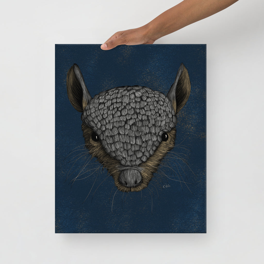 Screaming Hairy Armadillo, 2023