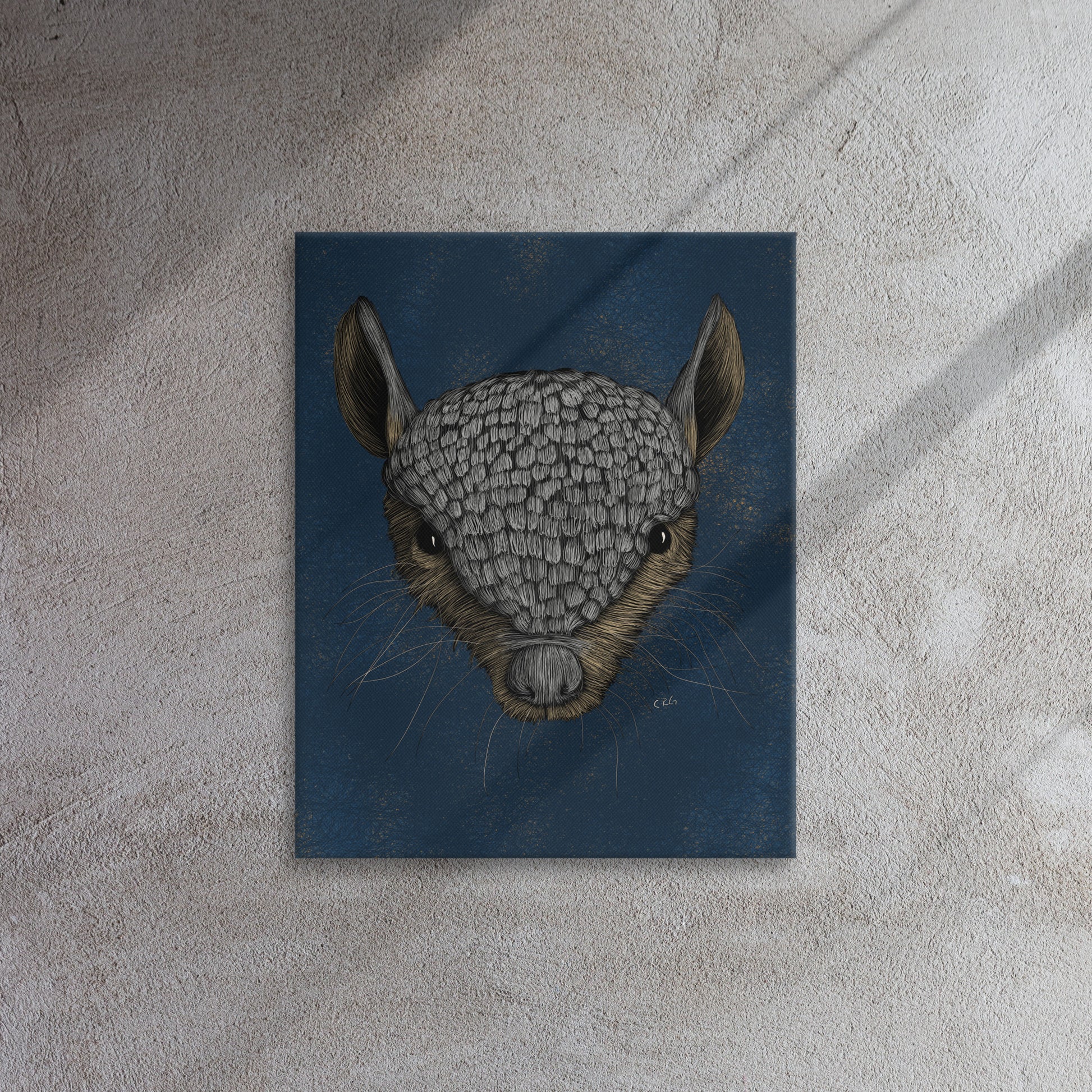 Screaming Hairy Armadillo, 2023