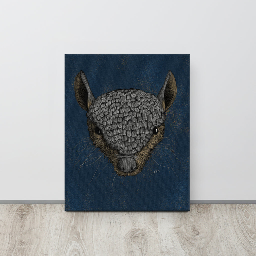 Screaming Hairy Armadillo, 2023