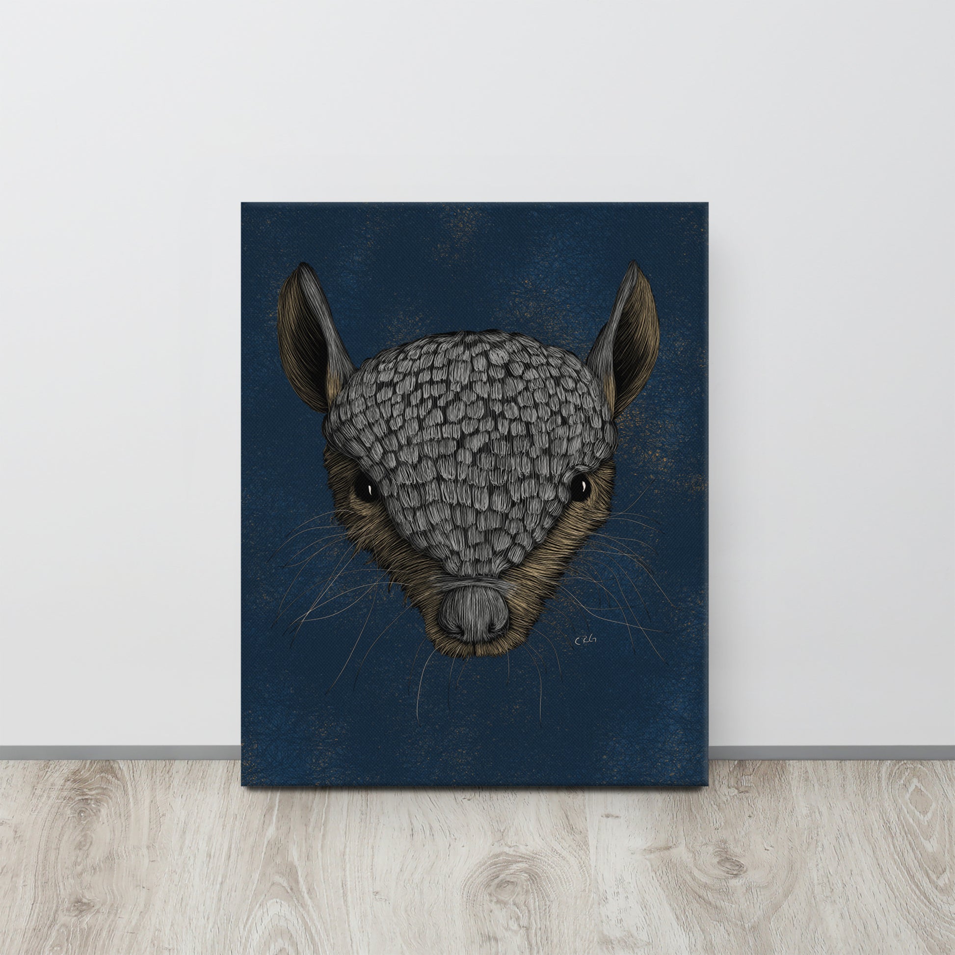 Screaming Hairy Armadillo, 2023