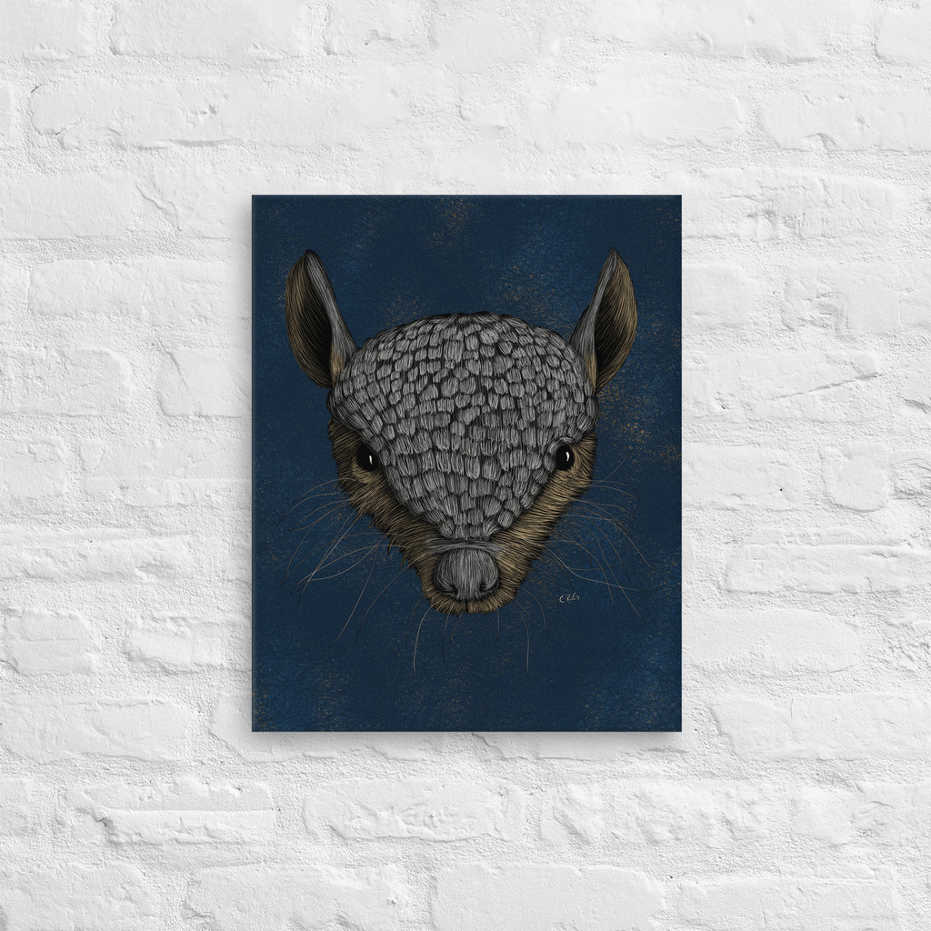 Screaming Hairy Armadillo, 2023