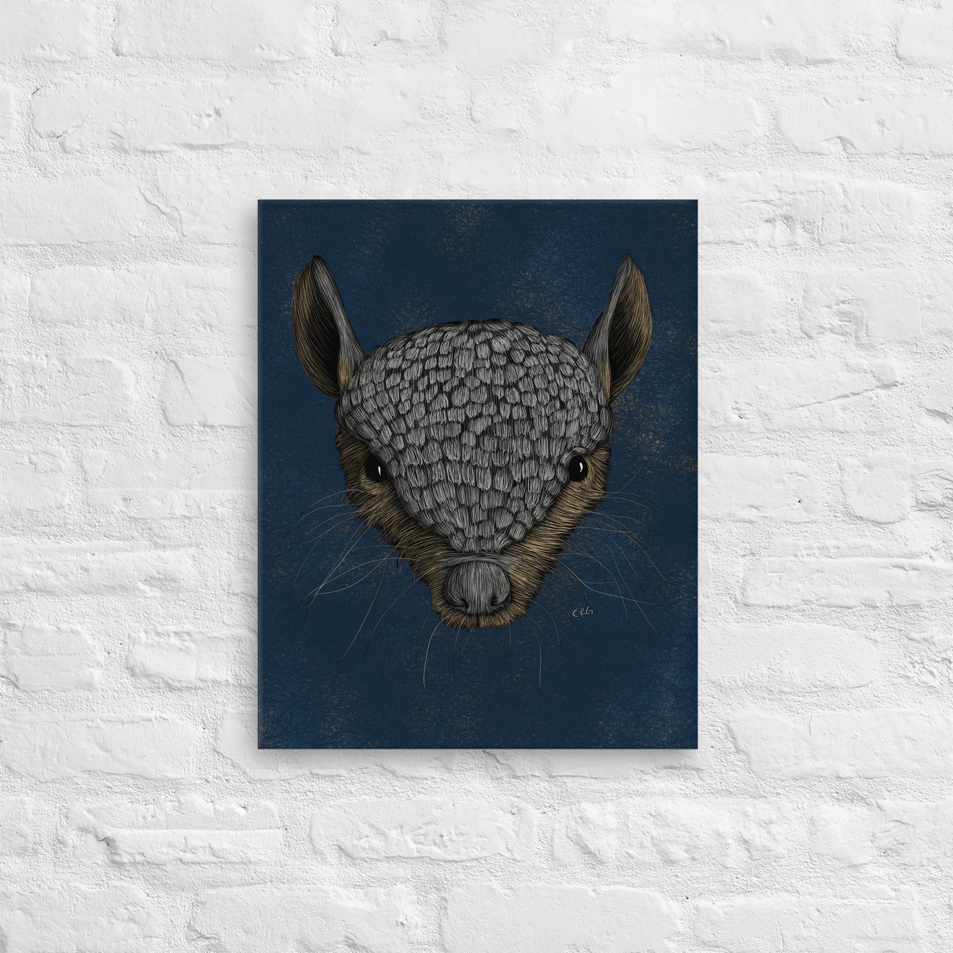 Screaming Hairy Armadillo, 2023