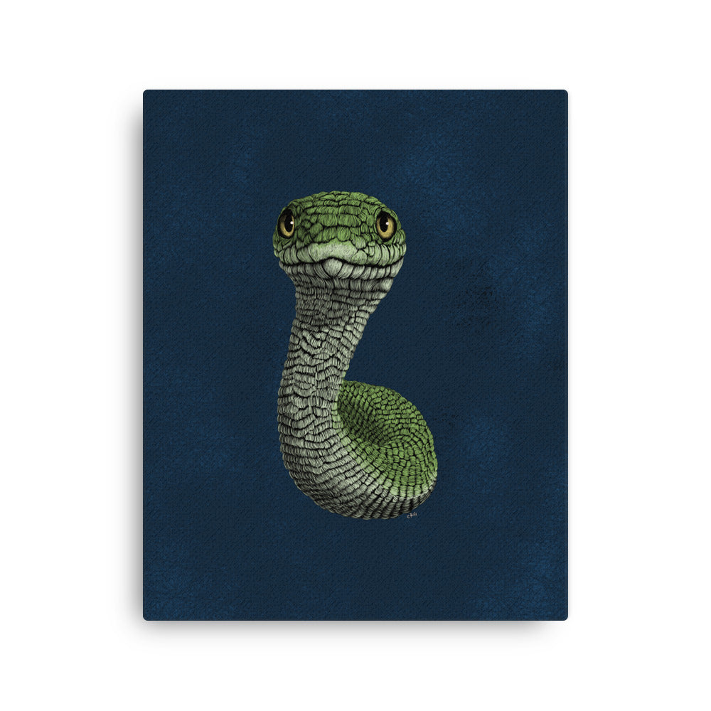 Smooth Green Snake, 2020