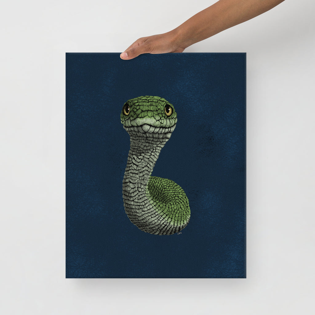 Smooth Green Snake, 2020