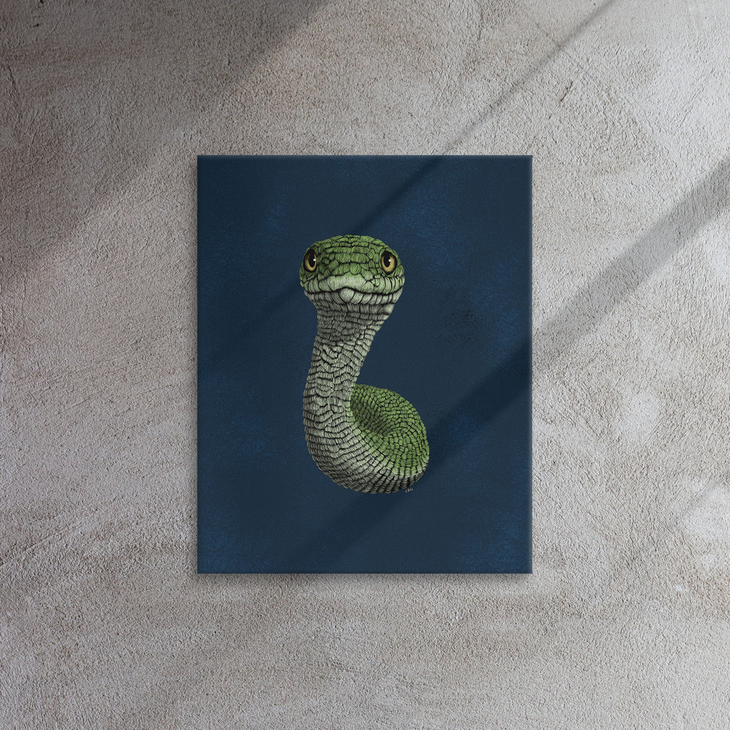 Smooth Green Snake, 2020