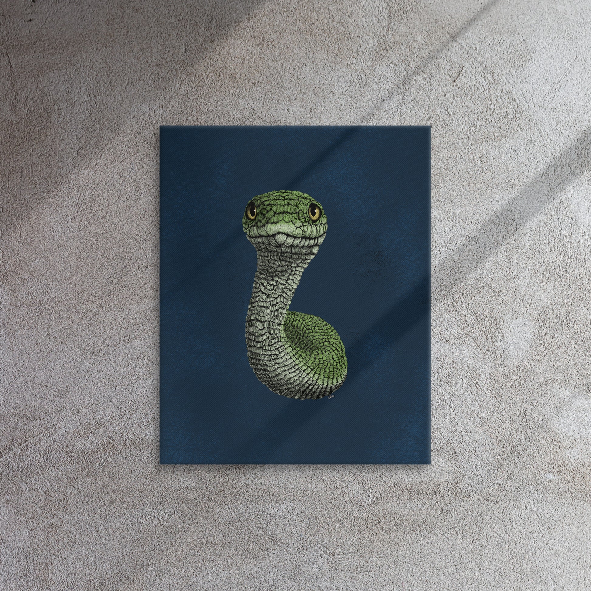 Smooth Green Snake, 2020