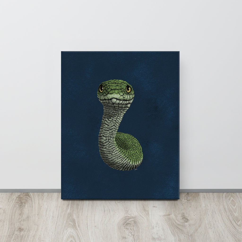 Smooth Green Snake, 2020