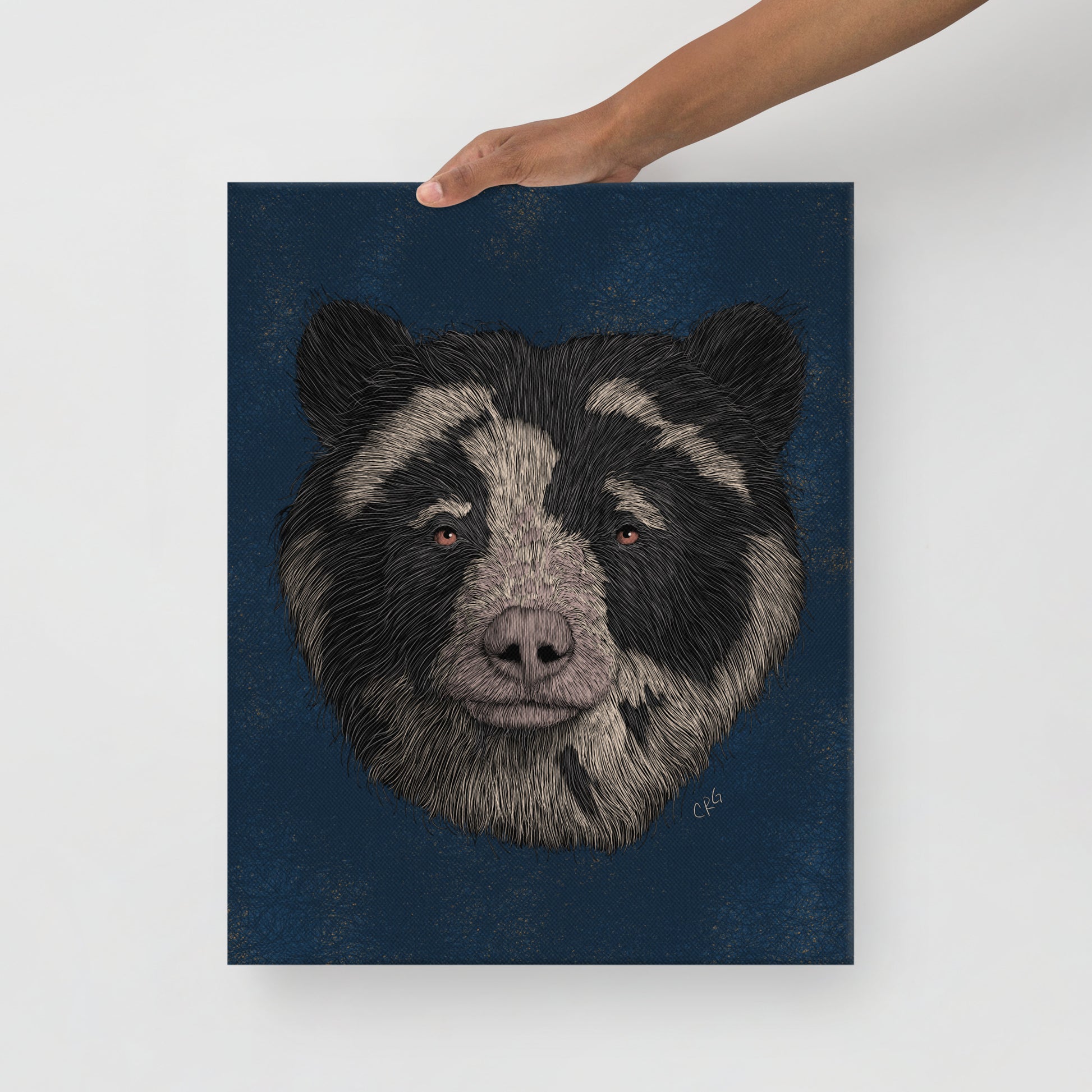 Spectacled Bear, 2021