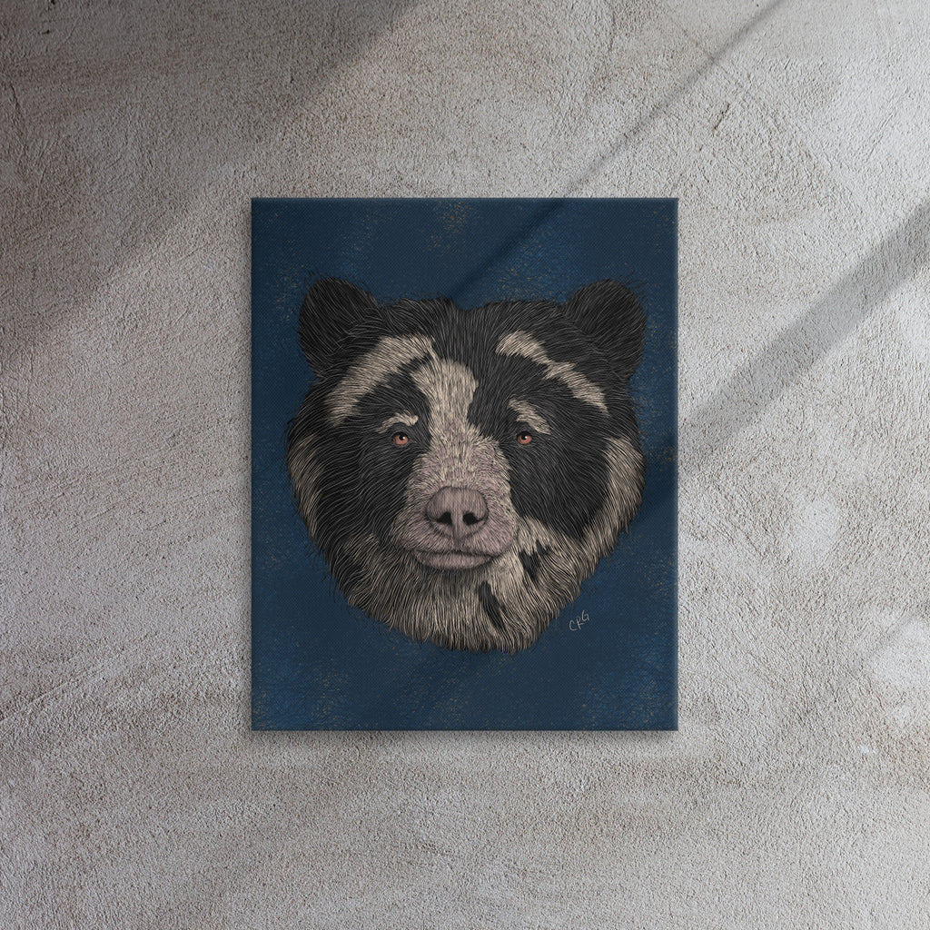 Spectacled Bear, 2021