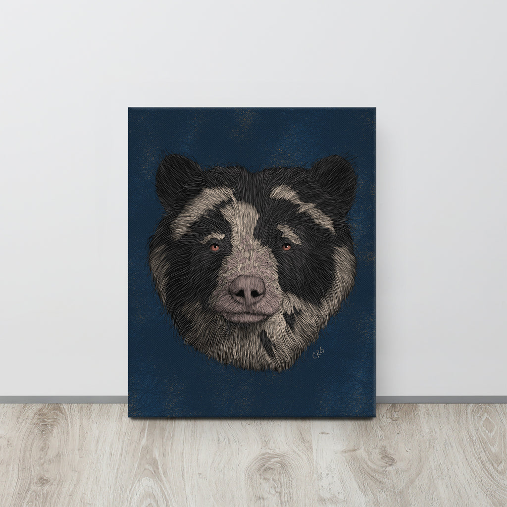 Spectacled Bear, 2021