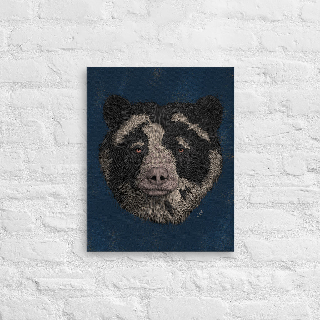 Spectacled Bear, 2021