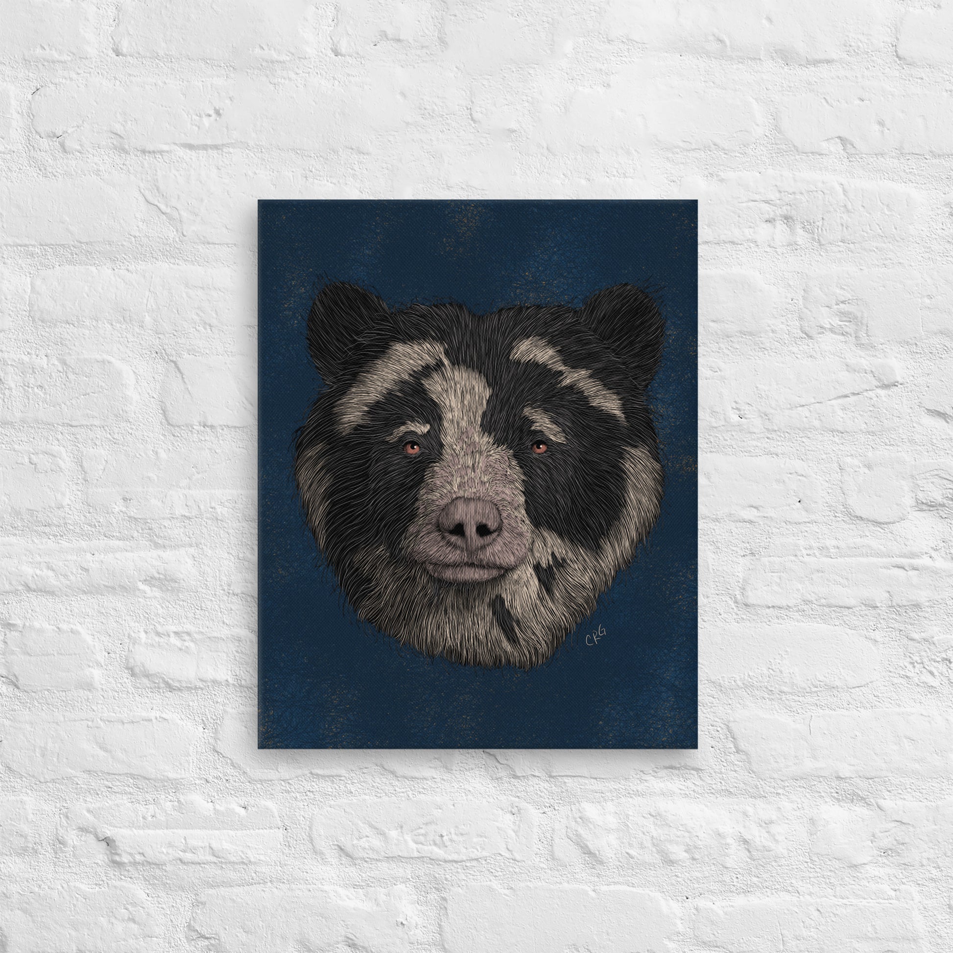 Spectacled Bear, 2021